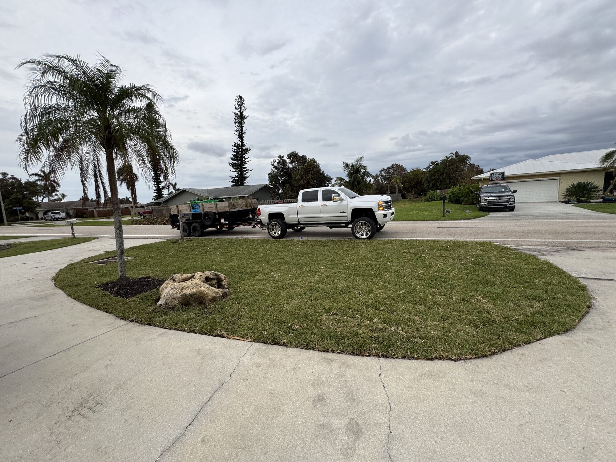 Healthy, irrigated corner-lot lawn and palm in Cape Coral