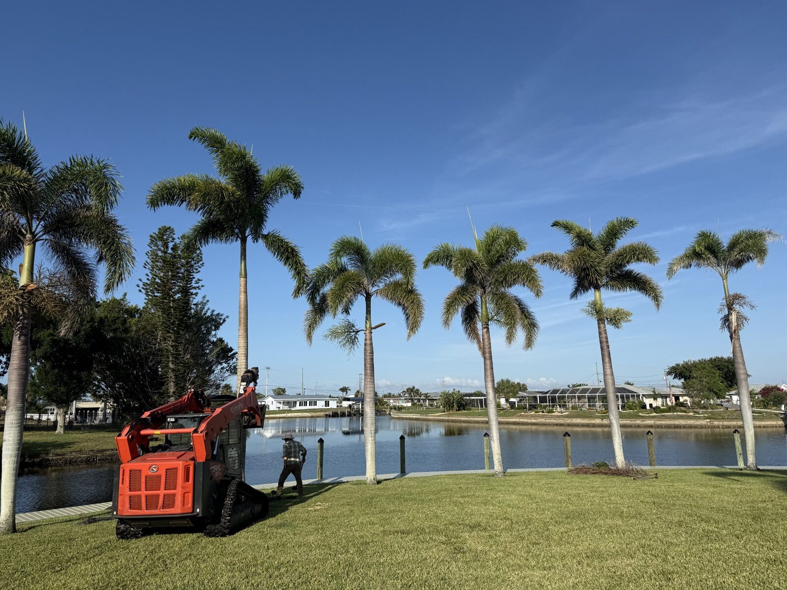 BCQ crew trimming royal palms on a canal-front Cape Coral property